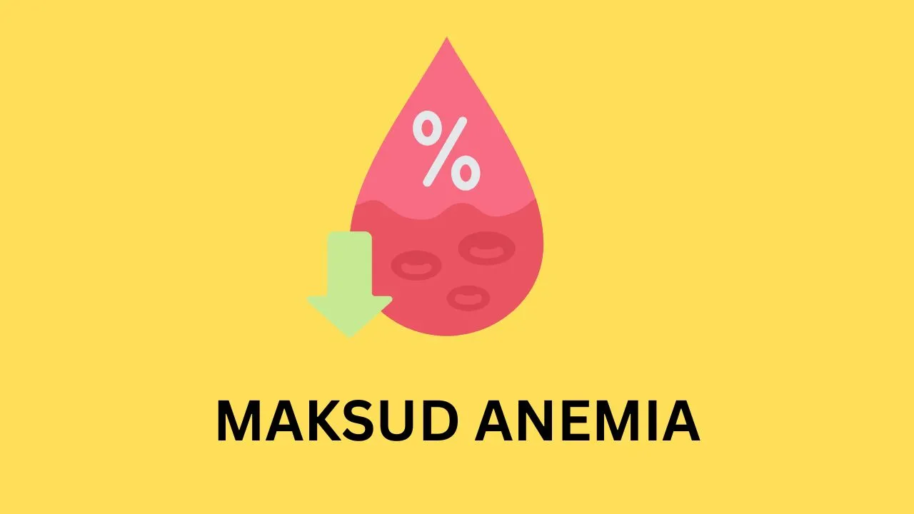 Apakah Maksud Anemia
