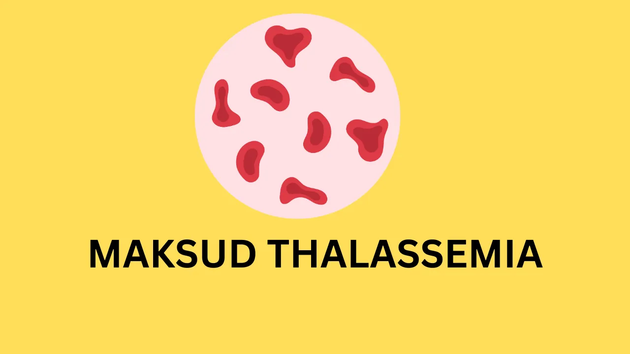 Apakah Maksud Thalassemia